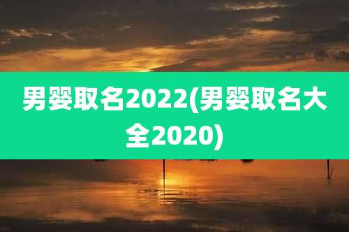 男婴取名2022(男婴取名大全2020)