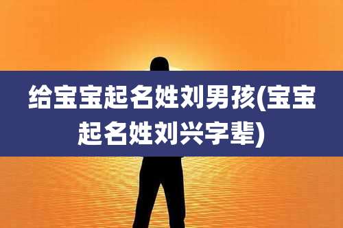 给宝宝起名姓刘男孩(宝宝起名姓刘兴字辈)