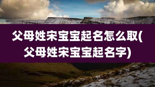 父母姓宋宝宝起名怎么取(父母姓宋宝宝起名字)