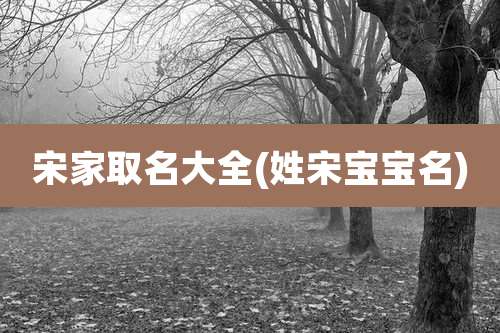 宋家取名大全(姓宋宝宝名)