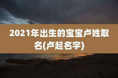 2021年出生的宝宝卢姓取名(卢起名字)