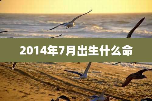2014年7月出生什么命