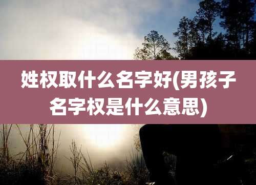 姓权取什么名字好(男孩子名字权是什么意思)