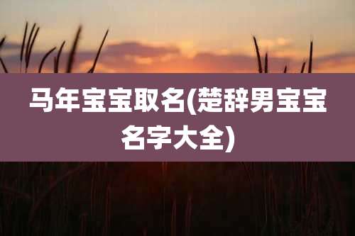 马年宝宝取名(楚辞男宝宝名字大全)