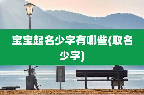 宝宝起名少字有哪些(取名少字)
