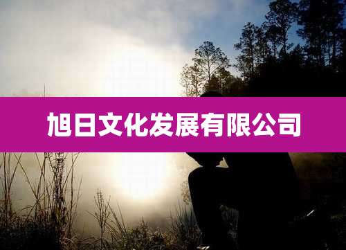 旭日文化发展有限公司