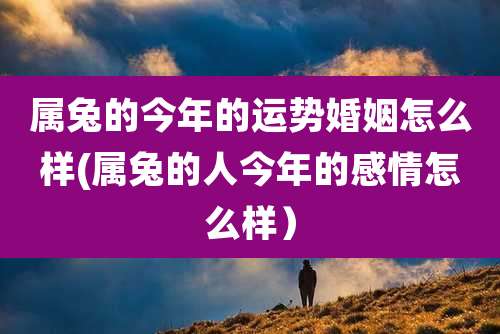 属兔的今年的运势婚姻怎么样(属兔的人今年的感情怎么样)
