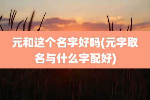 元和这个名字好吗(元字取名与什么字配好)