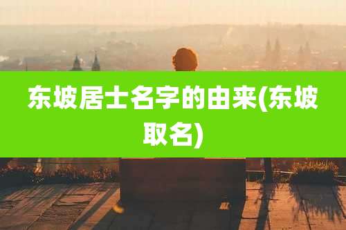 东坡居士名字的由来(东坡取名)