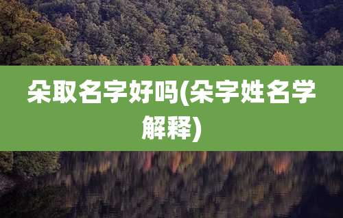 朵取名字好吗(朵字姓名学解释)