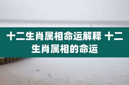 十二生肖属相命运解释 十二生肖属相的命运