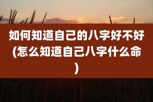 如何知道自己的八字好不好(怎么知道自己八字什么命)