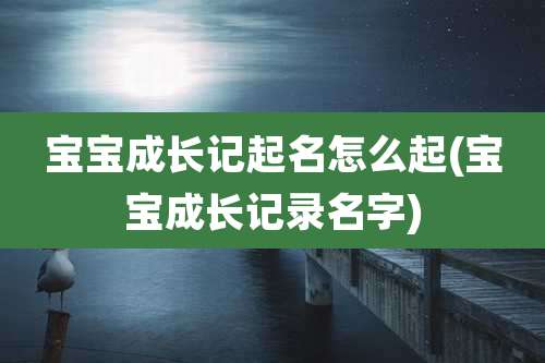 宝宝成长记起名怎么起(宝宝成长记录名字)