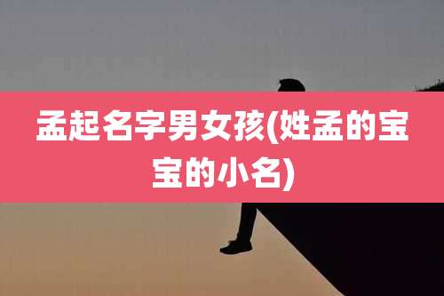 孟起名字男女孩(姓孟的宝宝的小名)