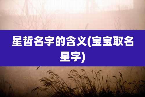 星哲名字的含义(宝宝取名星字)