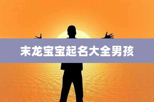 末龙宝宝起名大全男孩