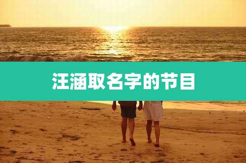 汪涵取名字的节目