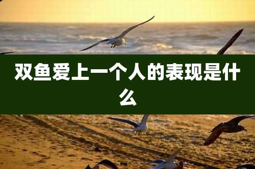 双鱼爱上一个人的表现是什么