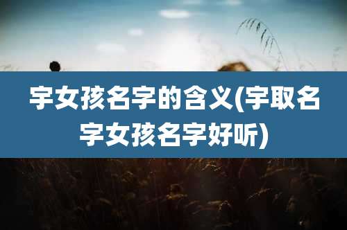 宇女孩名字的含义(宇取名字女孩名字好听)