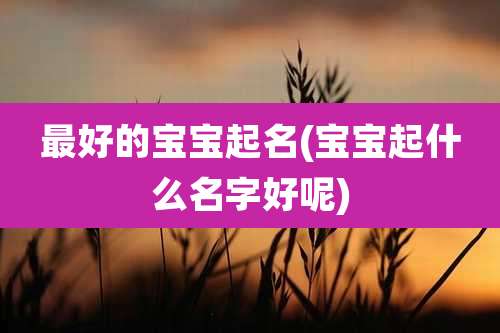 最好的宝宝起名(宝宝起什么名字好呢)