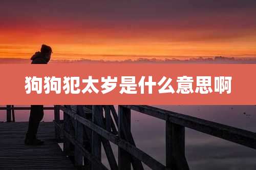 狗狗犯太岁是什么意思啊