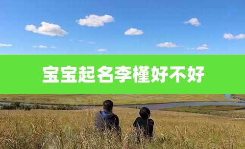 宝宝起名李槿好不好
