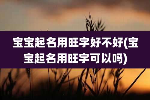宝宝起名用旺字好不好(宝宝起名用旺字可以吗)