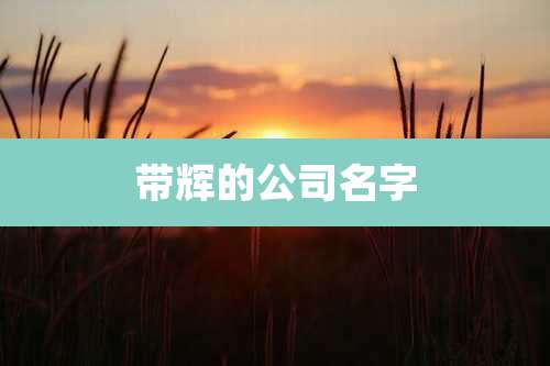 带辉的公司名字