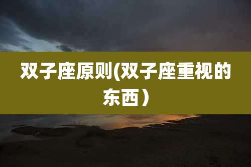 双子座原则(双子座重视的东西)