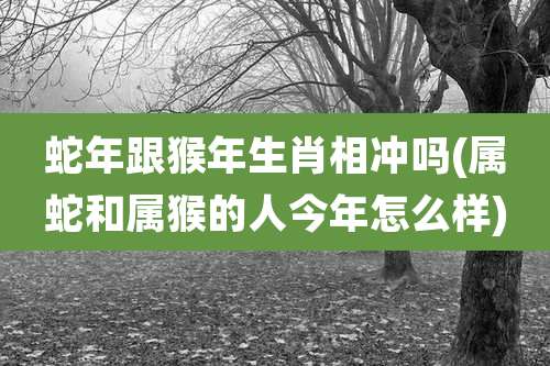蛇年跟猴年生肖相冲吗(属蛇和属猴的人今年怎么样)