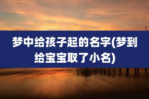 梦中给孩子起的名字(梦到给宝宝取了小名)