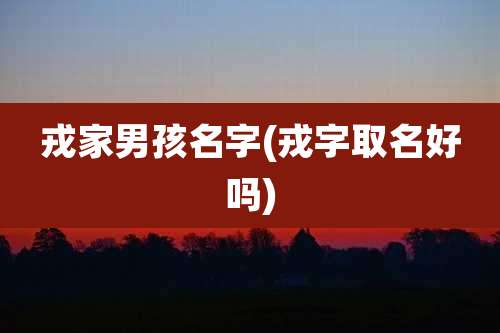 戎家男孩名字(戎字取名好吗)