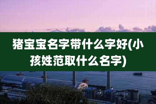 猪宝宝名字带什么字好(小孩姓范取什么名字)