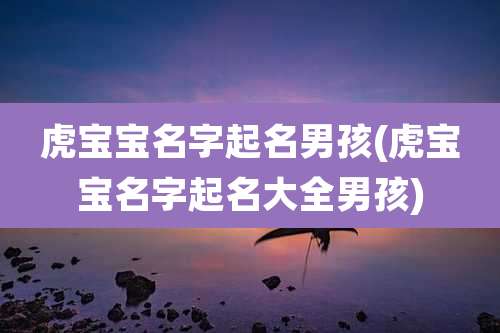 虎宝宝名字起名男孩(虎宝宝名字起名大全男孩)