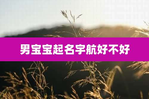 男宝宝起名宇航好不好