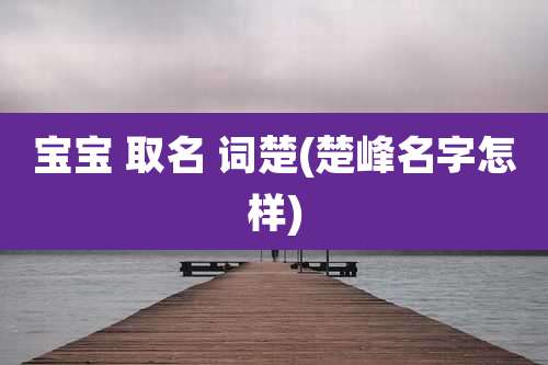 宝宝 取名 词楚(楚峰名字怎样)