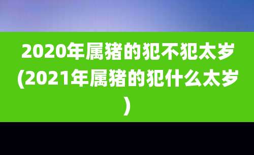 2020年属猪的犯不犯太岁(2021年属猪的犯什么太岁)