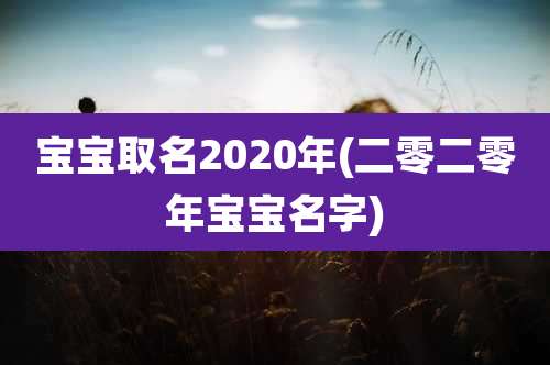 宝宝取名2020年(二零二零年宝宝名字)
