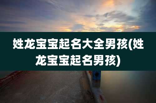 姓龙宝宝起名大全男孩(姓龙宝宝起名男孩)