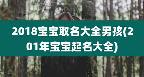 2018宝宝取名大全男孩(201年宝宝起名大全)