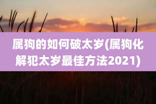 属狗的如何破太岁(属狗化解犯太岁最佳方法2021)