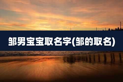 邹男宝宝取名字(邹的取名)