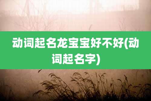 动词起名龙宝宝好不好(动词起名字)
