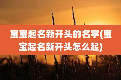宝宝起名新开头的名字(宝宝起名新开头怎么起)