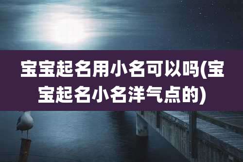 宝宝起名用小名可以吗(宝宝起名小名洋气点的)