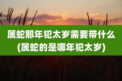 属蛇那年犯太岁需要带什么(属蛇的是哪年犯太岁)