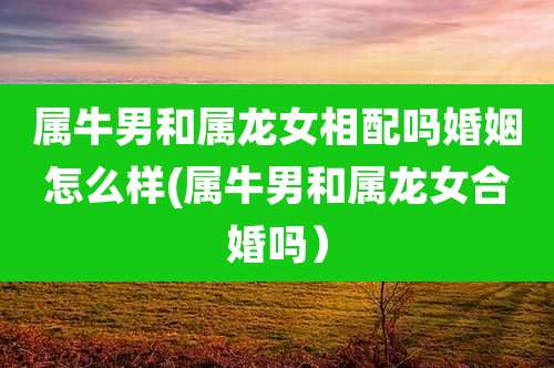 属牛男和属龙女相配吗婚姻怎么样(属牛男和属龙女合婚吗)