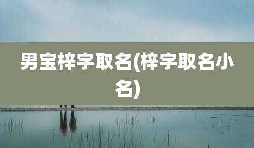 男宝梓字取名(梓字取名小名)