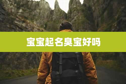 宝宝起名臭宝好吗