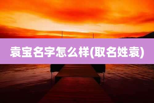 袁宝名字怎么样(取名姓袁)